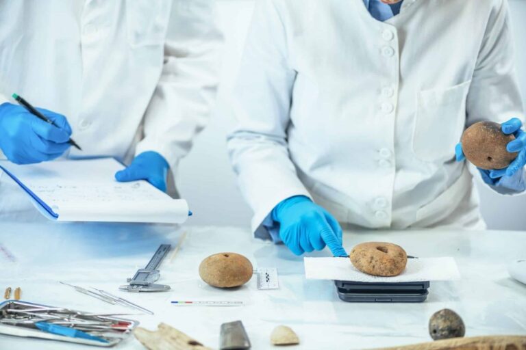 food safety regulatory compliance